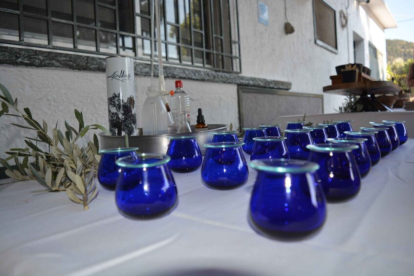 Picture 16 for Activity Olives & Olive Oil Tasting + Wine (3 in 1 Experience!)