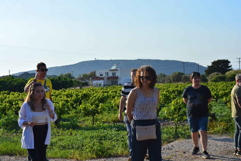 Picture 6 for Activity Olives & Olive Oil Tasting + Wine (3 in 1 Experience!)