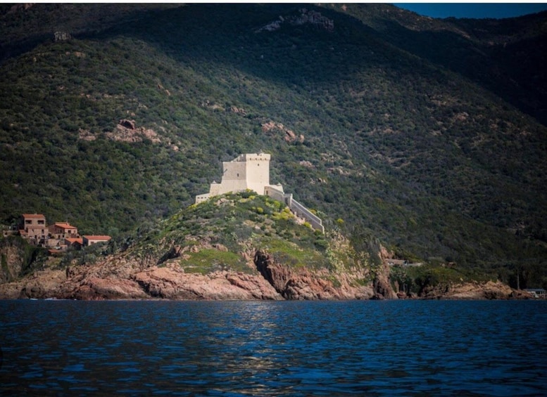 Picture 3 for Activity Cargèse: Swim and Snorkel Sea Cave Cruise with Girolata Stop