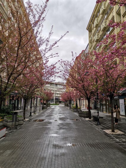 Picture 1 for Activity Walking in Skopje