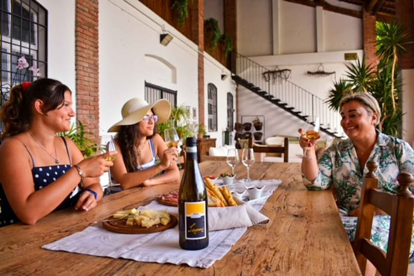 Picture 5 for Activity Sirmione: Vineyard Tour with Lugana Wines and Local Tastings