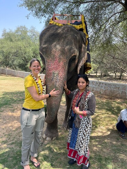 Picture 16 for Activity From Delhi: 4-Day Golden Triangle & Ranthambore Guided Tour