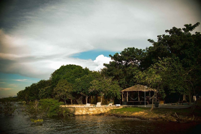 Picture 16 for Activity Manaus: 2, 3 or 4-Day Amazon Jungle Tour in Anaconda Lodge