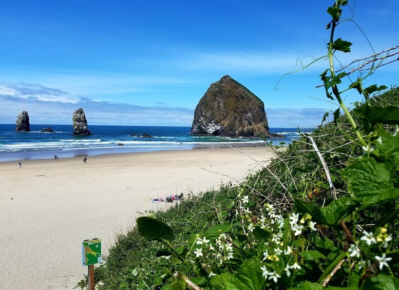 Picture 13 for Activity From Portland: Oregon Coast Adventure Day Tour with Pickup