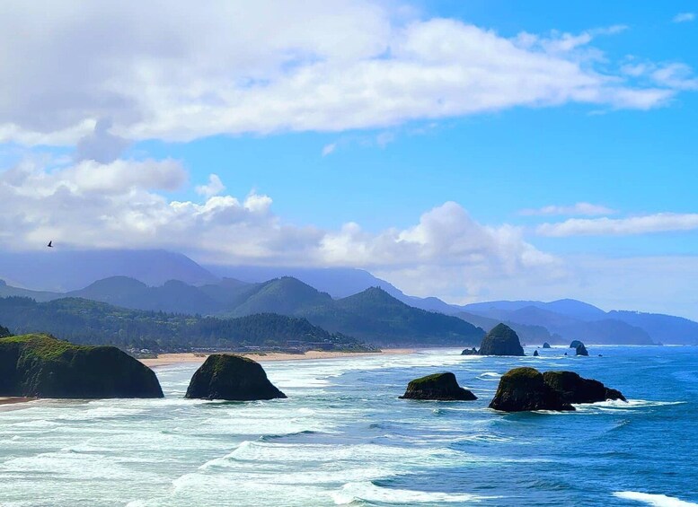 Picture 17 for Activity From Portland: Oregon Coast Adventure Day Tour with Pickup