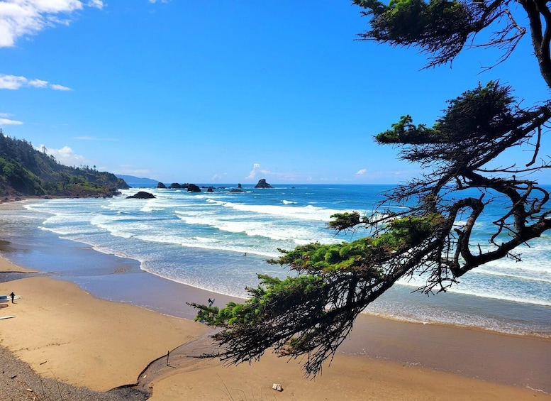Picture 7 for Activity From Portland: Oregon Coast Adventure Day Tour with Pickup