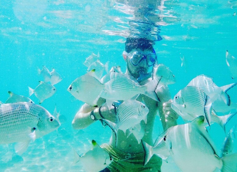 Picture 1 for Activity Gold Coast: Kayaking and Snorkeling Guided Tour