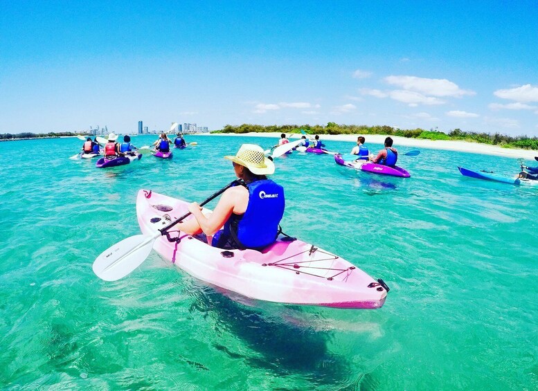 Picture 3 for Activity Gold Coast: Kayaking and Snorkeling Guided Tour