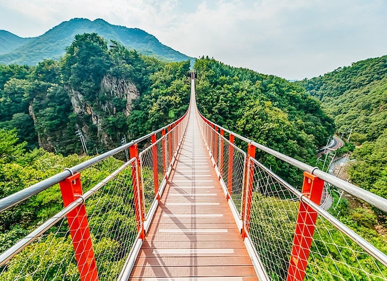 Picture 10 for Activity Seoul: DMZ, 3rd Tunnel and Optional Suspension Bridge Tour