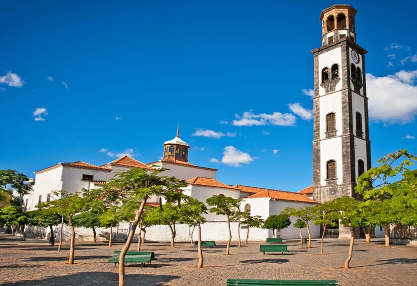 Picture 10 for Activity Tenerife: Private Taganana and Anaga Day Trip with Pickup