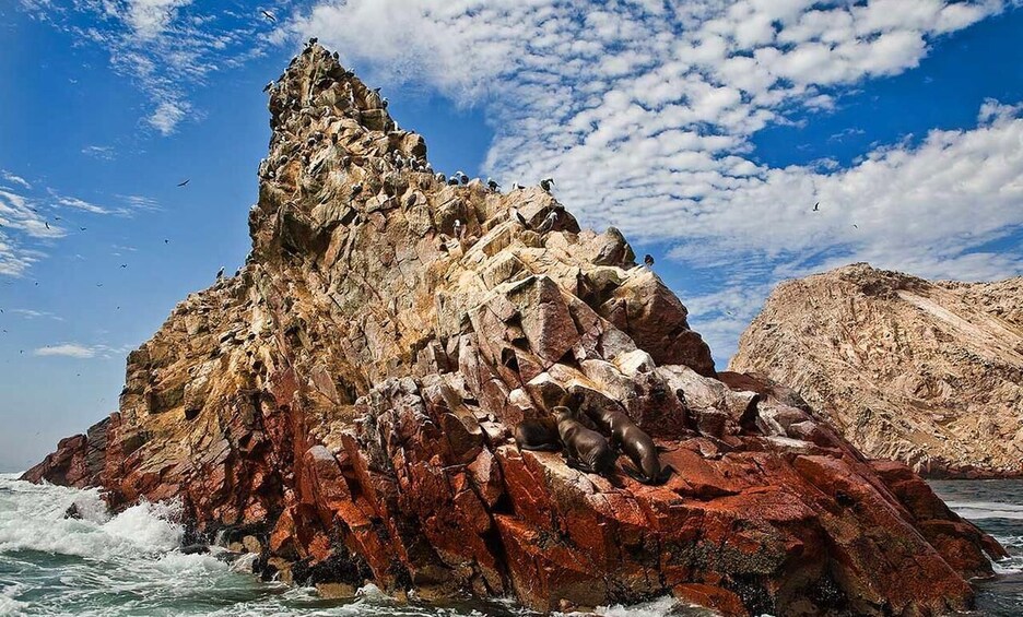 Picture 7 for Activity Lima: Ballestas Islands & Golden Shadows Trek Full Day Tour