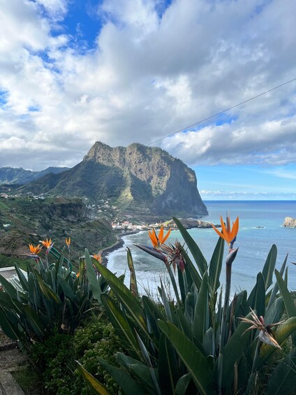Picture 3 for Activity Madeira Stairway to Heaven to Larano Hike Mountain to Sea
