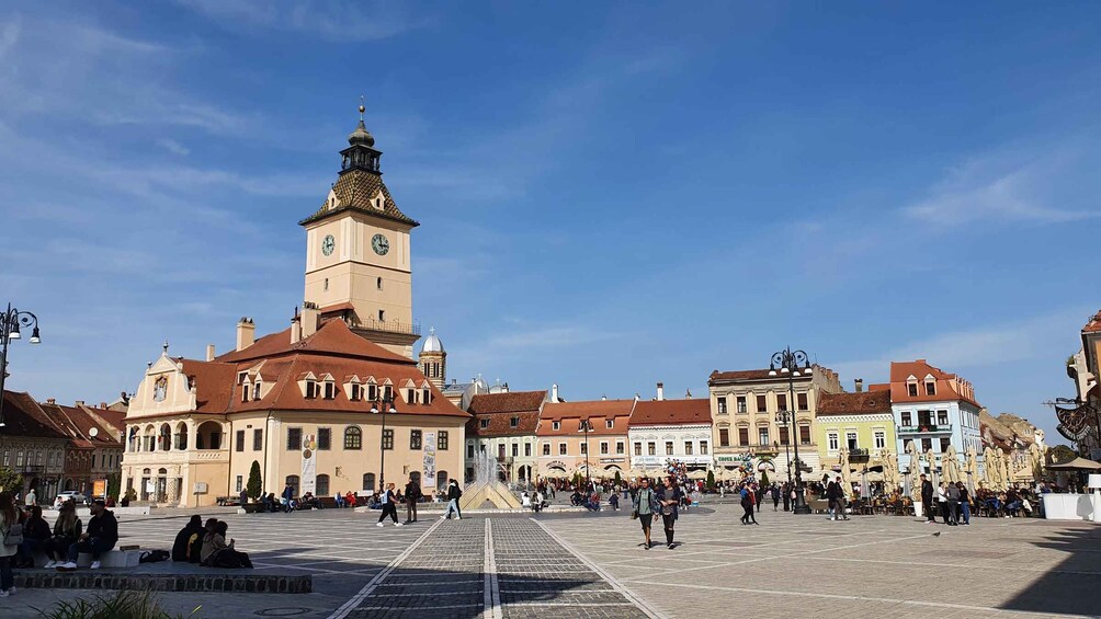 Picture 7 for Activity Bear Sanctuary, Dracula's Castle and Brasov | Private Tour