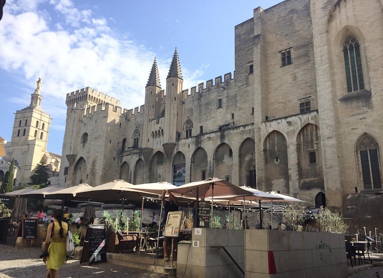 Picture 1 for Activity Marseille: Avignon and Côtes du Rhône Wine Tasting Tour