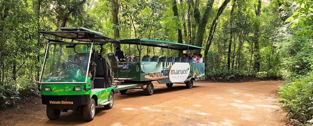 Picture 4 for Activity From Foz do Iguazu: Brazil Iguazu Falls & Macuco Safari Boat