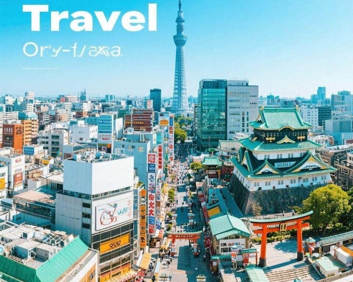 Osaka: Customizable Full-Day Tour with Private Transfer