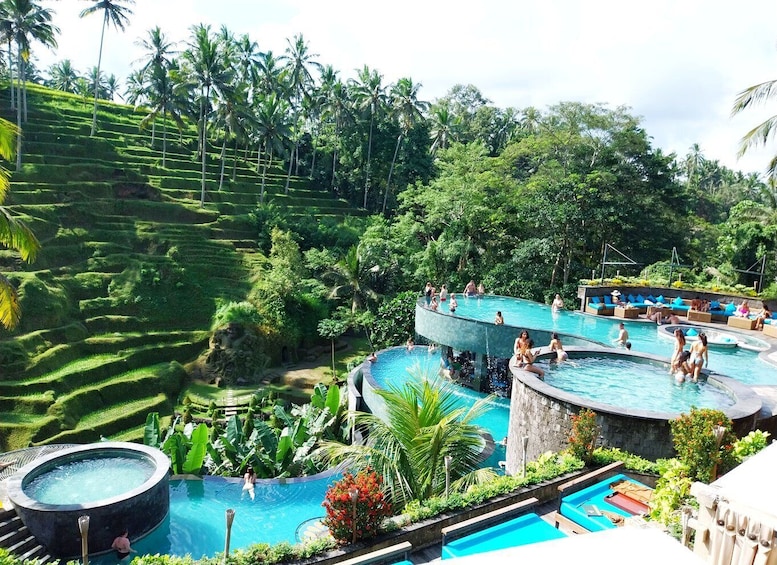 Picture 5 for Activity Bali: Private Ubud Waterfall, Village and Pool Club Day Trip