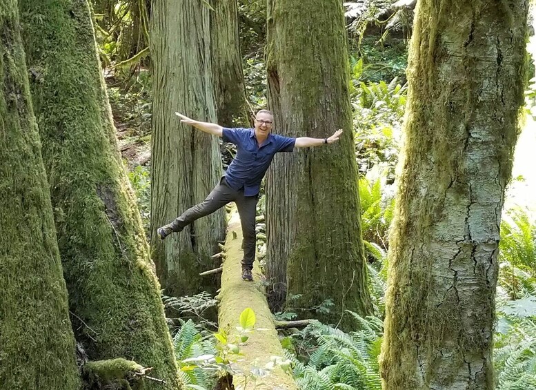 Picture 3 for Activity Mystical Rainforest Tour - Forest Magick