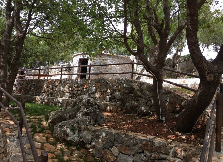 Picture 4 for Activity Rethymno: Explore Shepherd’s Hut and Cheese Making Process
