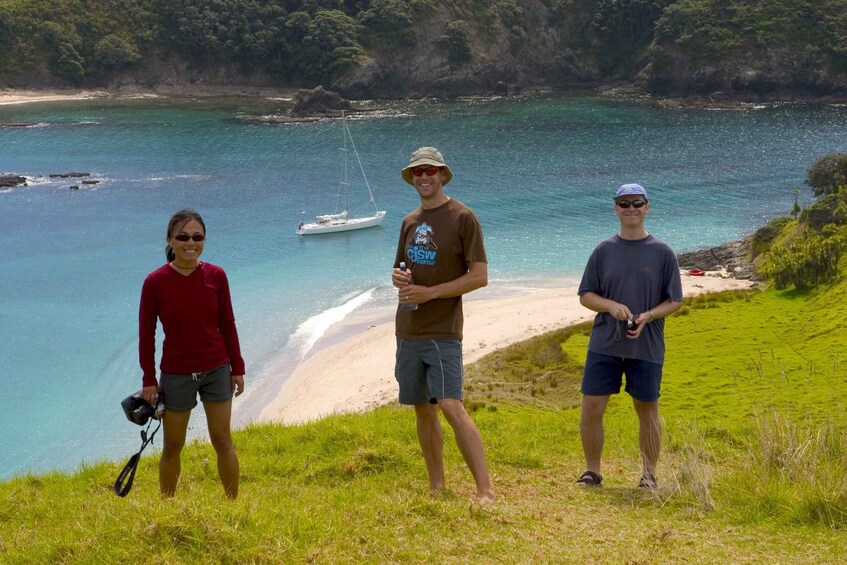 Picture 7 for Activity Bay of Islands: Awesome Day Sailing Tour with Island Stop
