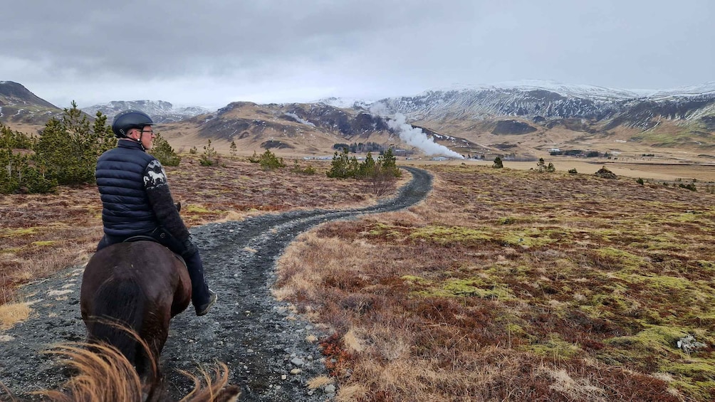 Picture 5 for Activity Hveragerdi: Reykjadalur (Hotspring Valley) Horse Riding Tour