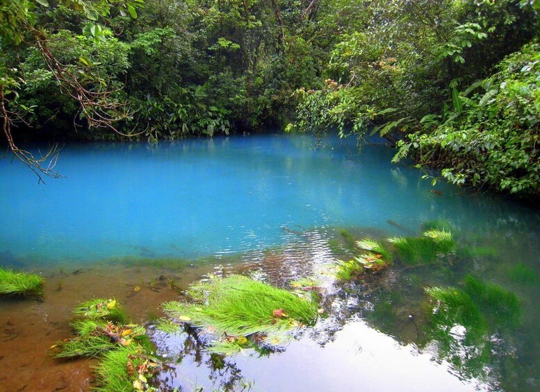 Picture 2 for Activity From La Fortuna: Rio Celeste Full-Day Tour