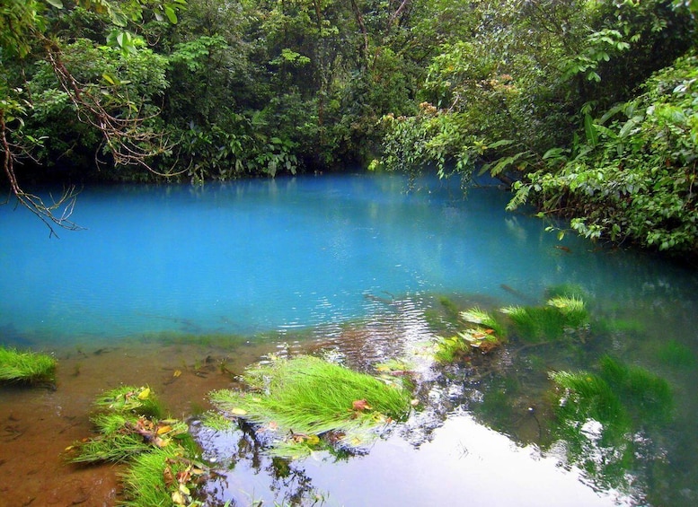 Picture 2 for Activity From La Fortuna: Rio Celeste Full-Day Tour