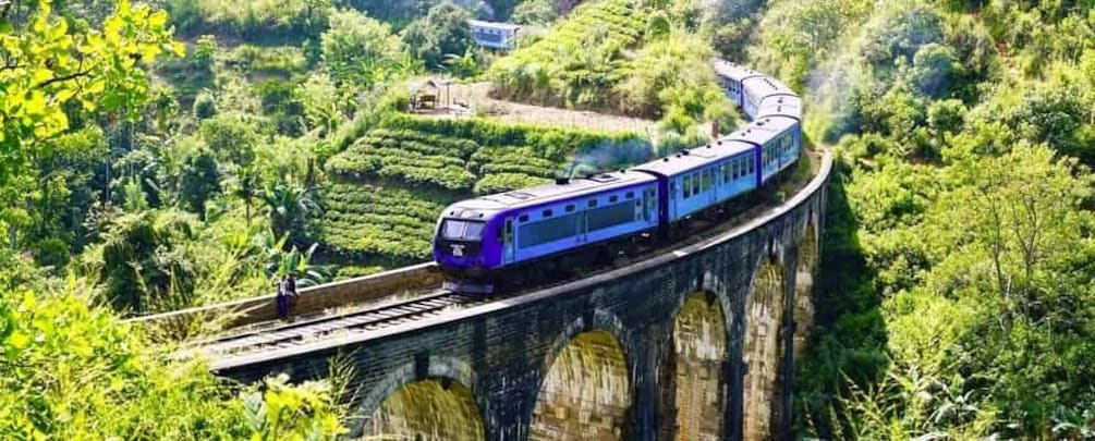 Hikkaduwa/Galle/Weligama/Mirissa: Day Trip to Ella Highlands