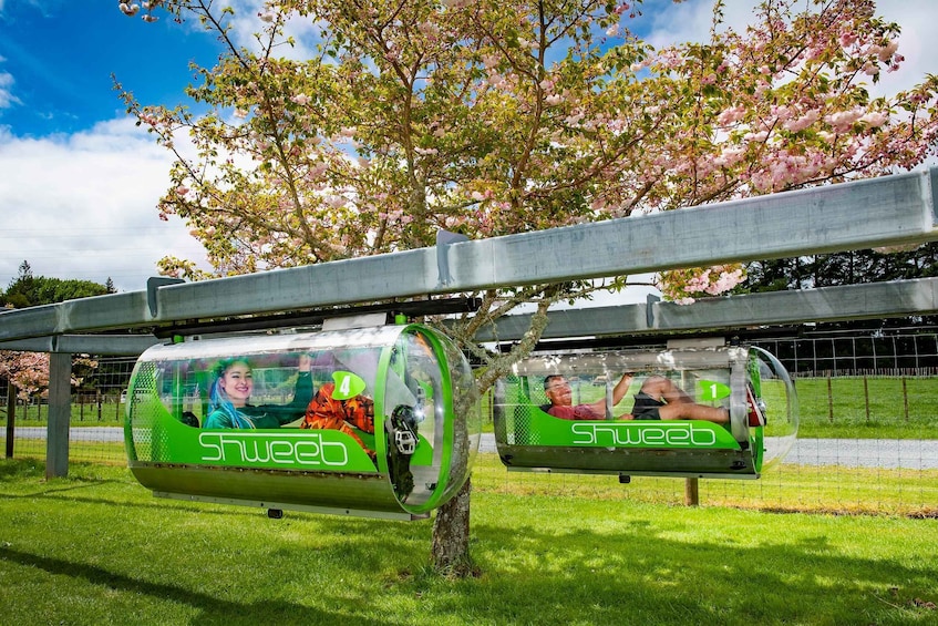Rotorua: Velocity Valley - Pick One Pass