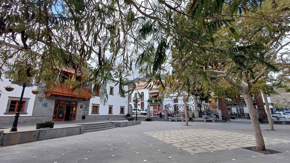 Picture 19 for Activity Maspalomas: Hiking to Roque Nublo with 2 authorised guides