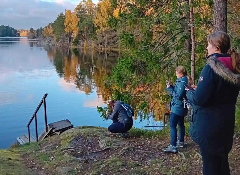 Picture 9 for Activity Stockholm: Tyresta National Park Sunset Hike with Meal