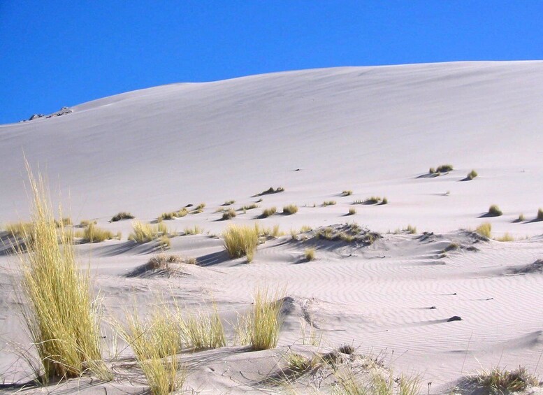 Picture 7 for Activity From Salta: Cafayate and Hornocal 2-Day Tour with Transfer