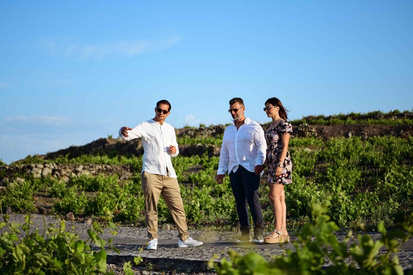 Picture 1 for Activity Imerovigli: Premium Wine Tasting with Caldera and Sea Views
