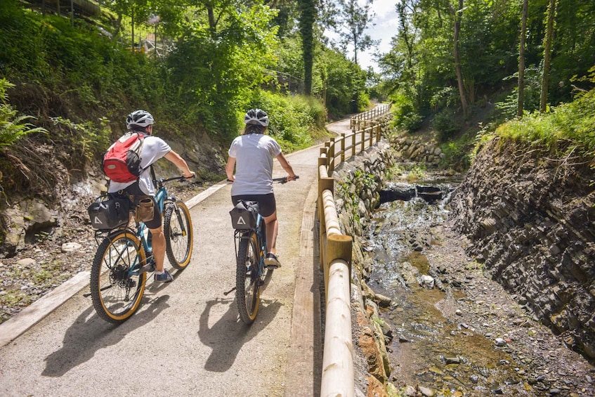 Picture 2 for Activity Lake Como to Lake Lugano: E-Bike Three Panoramic Lakes