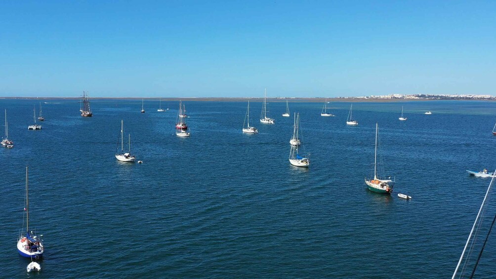 Picture 1 for Activity Olhão: Ria Formosa Boat Cruise to Armona and Culatra