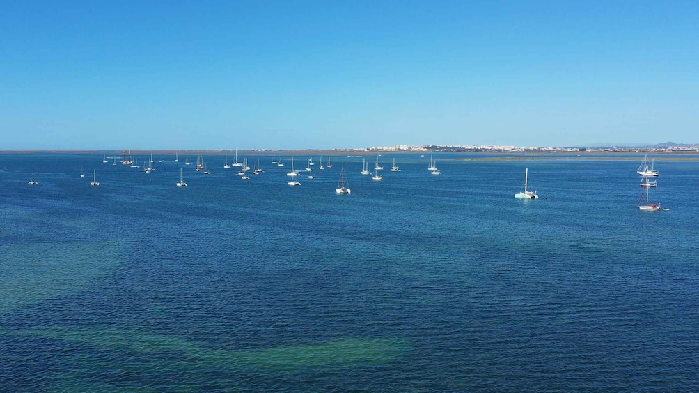 Picture 6 for Activity Olhão: Ria Formosa Boat Cruise to Armona and Culatra