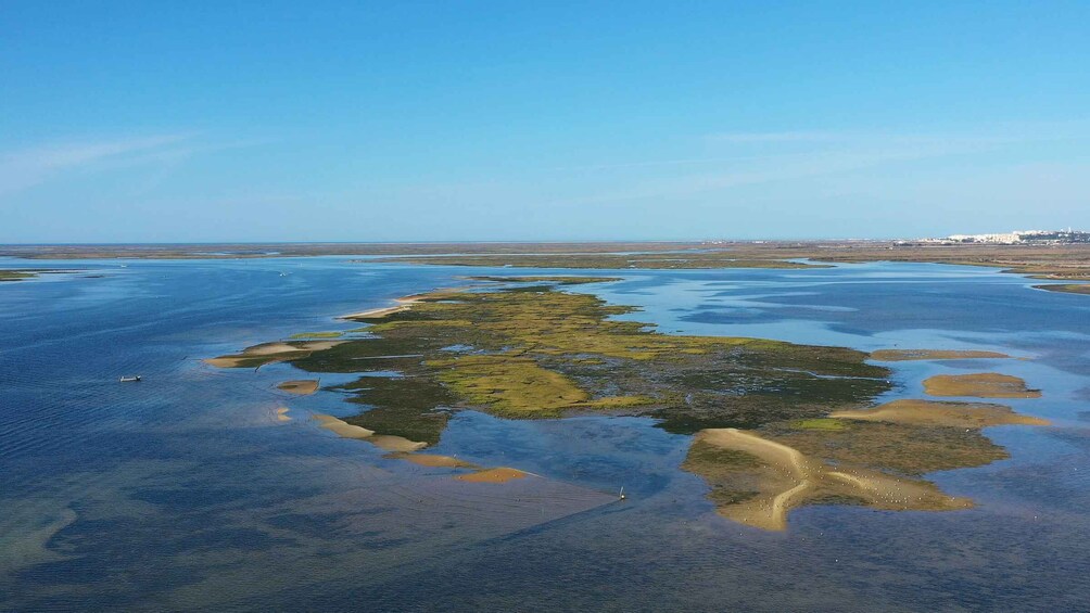 Olhão: Ria Formosa Boat Cruise to Armona and Culatra