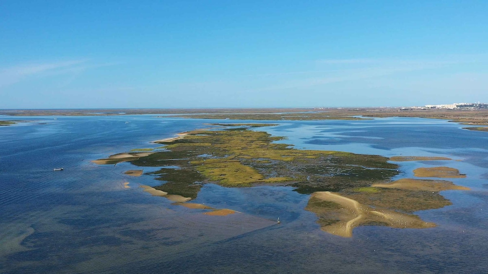 Olhão: Ria Formosa Boat Cruise to Armona and Culatra
