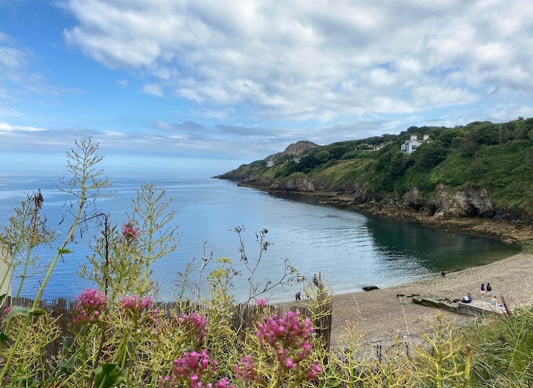 Picture 10 for Activity Dublin: Howth Coastal Hiking Tour
