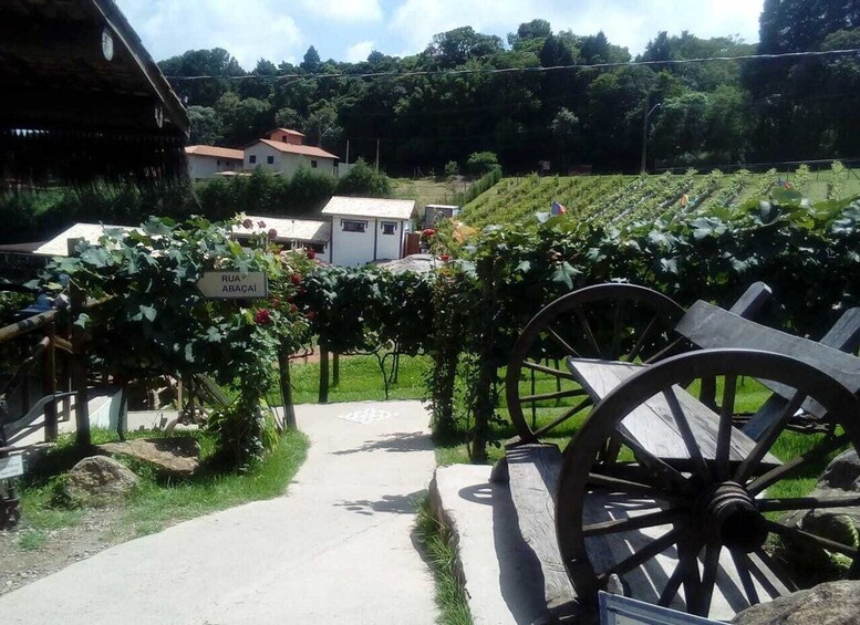 Picture 4 for Activity From São Paulo: São Roque Wineries Route and Shopping Tour
