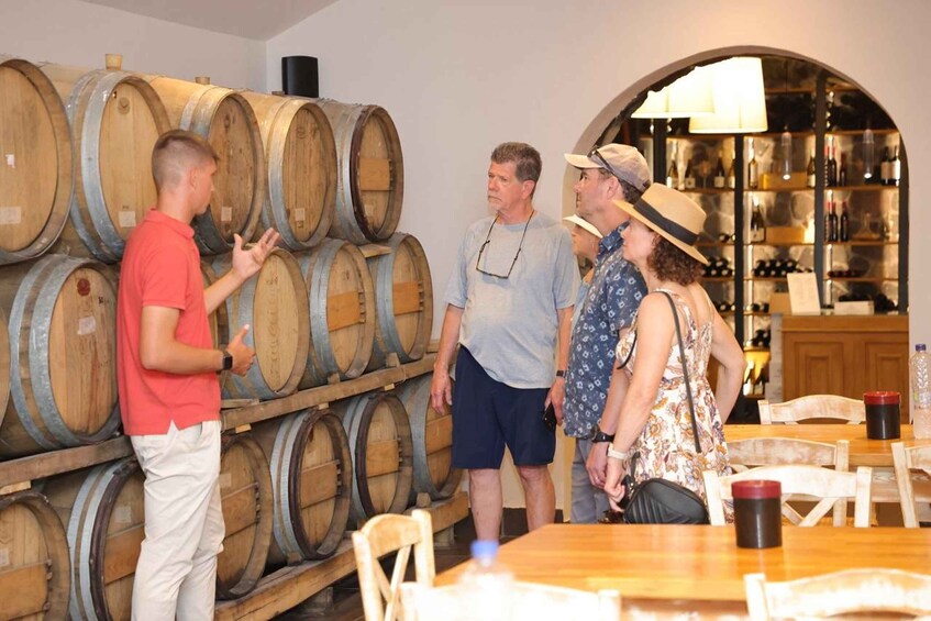 Picture 6 for Activity Santorini: Vineyard and Winery Tour with Cooking Class