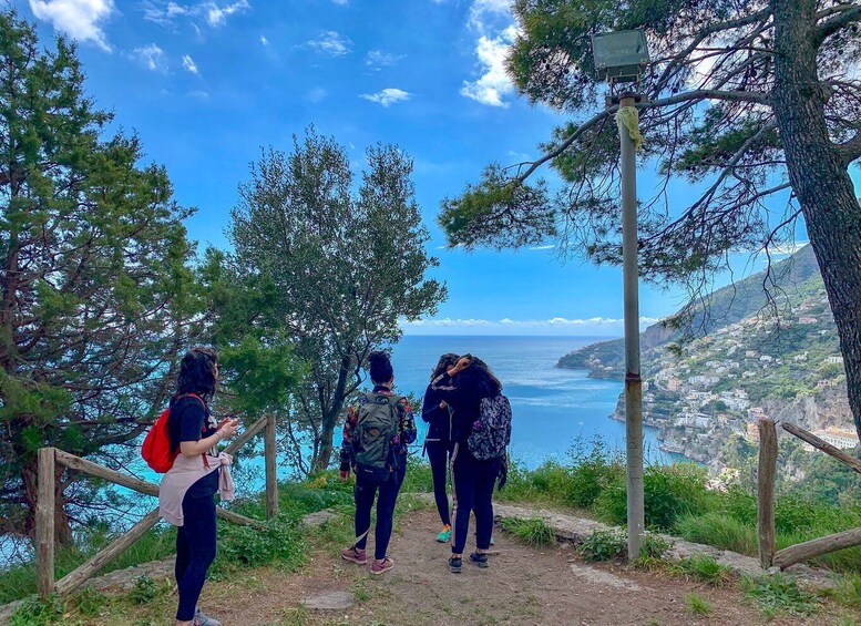 Picture 5 for Activity Amalfi Coast Path of the Lemon private walking tour