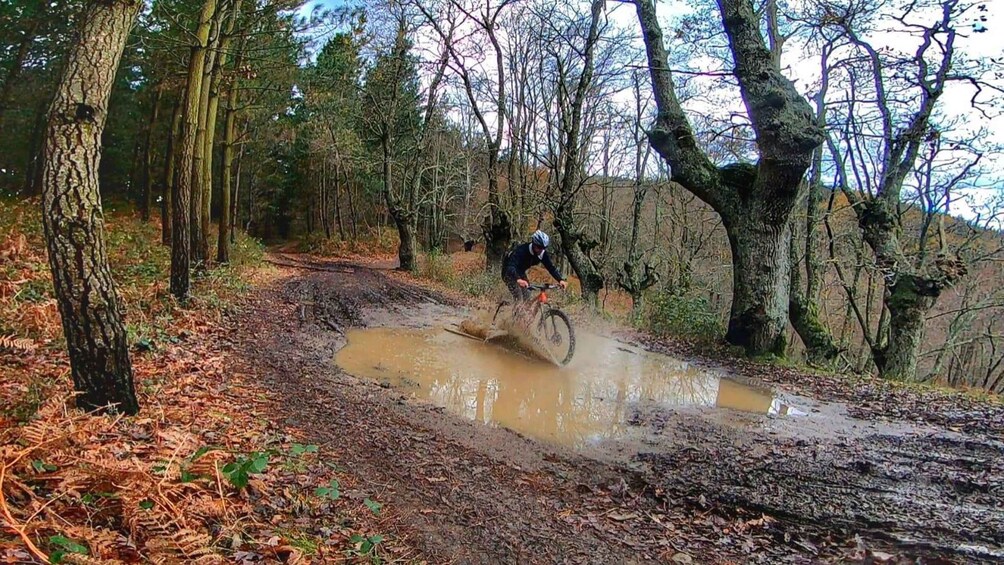 Picture 2 for Activity San Sebastián: Basque Country Mountain Bike Exploration