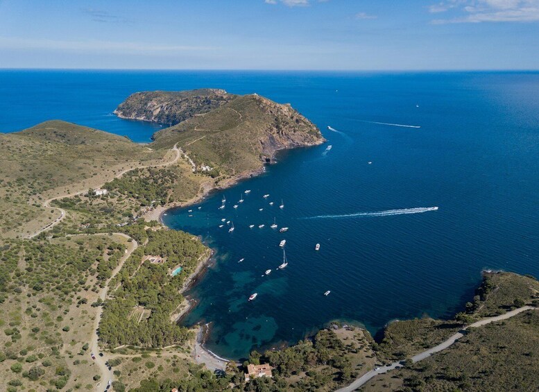 Picture 25 for Activity Roses: Private Cruise in the Natural Park of Cap de Creus