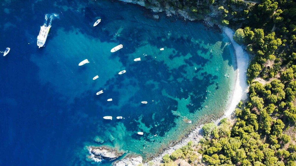 Picture 20 for Activity Roses: Private Cruise in the Natural Park of Cap de Creus