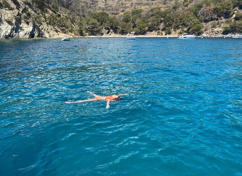 Picture 12 for Activity Roses: Private Cruise in the Natural Park of Cap de Creus