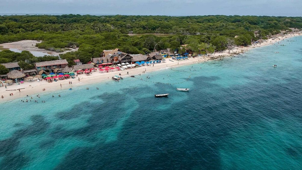 Picture 3 for Activity Playa Blanca: Daytour with Snorkeling and Racoon Sighting