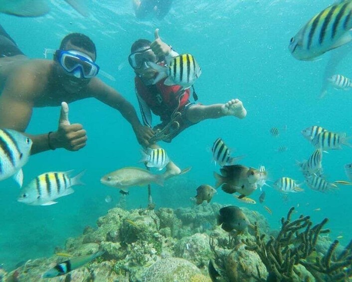 Playa Blanca: Daytour with Snorkeling and Racoon Sighting