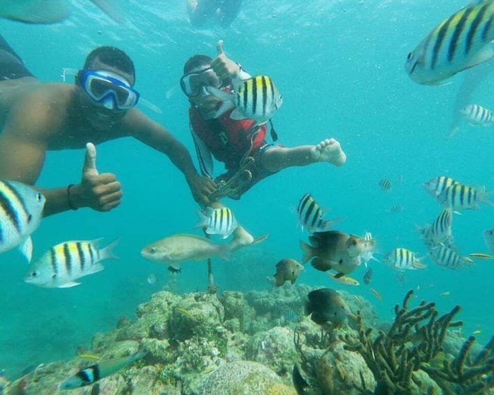 Playa Blanca: Daytour with Snorkeling and Racoon Sighting