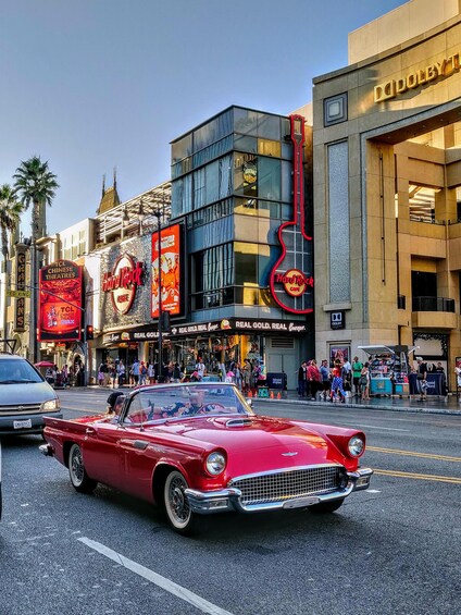 Los Angeles & Hollywood Small Group Day Tour